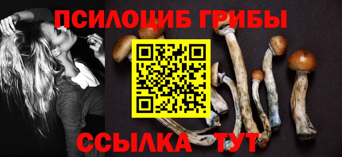 Псилоцибиновые грибы Psilocybe  Вход с VPN  Псилоцибиновые грибы MAGIC MUSHROOMS  Киров 